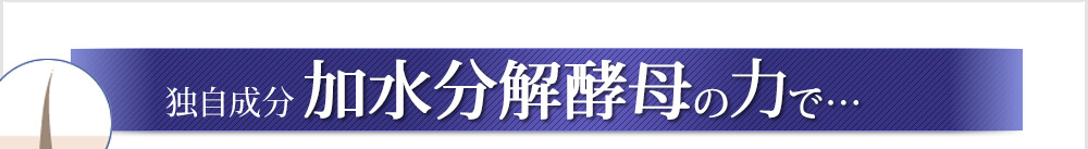 独自成分加水分解酵母の力で