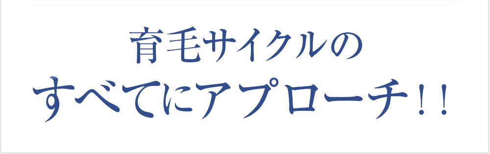 育毛サイクルのすべてに効果を発揮！！