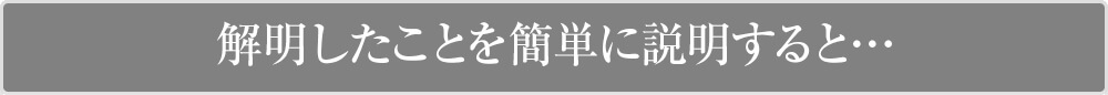 解明したことを簡単に説明すると