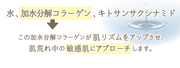 加水分解コラーゲンが肌リズムをアップさせ、肌荒れ中の敏感肌にアプローチ
します。