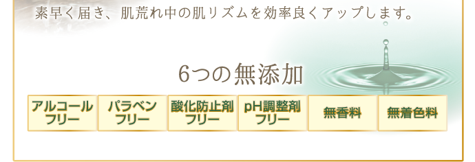 アルコールフリー・パラベンフリー・酸化防止剤フリー・ｐH調整剤フリー・無香料・無着色料の6つの無添加でお肌にやさしい。