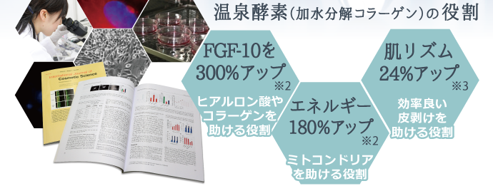 温泉酵素（加水分解コラーゲン）の役割は、ヒアルロン酸やコラーゲンを助ける役割／ミトコンドリアを助ける役割／効率良い川剥けを助ける役割等があります。
