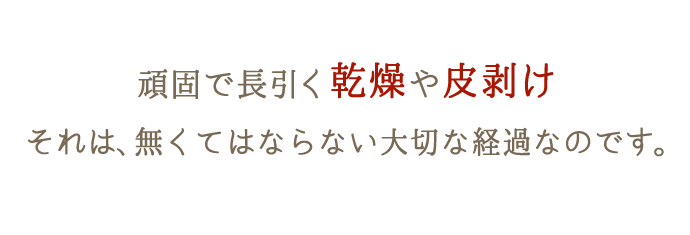 頑固で長引く乾燥や川剥けは、肌改善のためには無くてはならない大切な経過なのです。