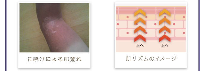 「肌リズム」には、上へ上へと進みながら、肌の健康に必要のない汚れや古い角質などを掃除する役割があります。