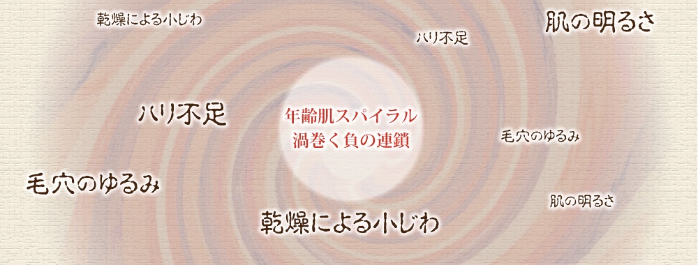 年齢スパイラルとは、肌の守りが弱まることで感想が加速し、美容成分などの肌への攻めが届きにくい悪循環に陥った状態。その年齢肌スパイラルを抜け出すには？