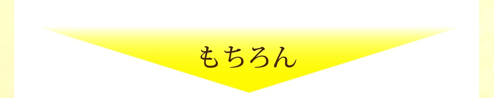 つけた瞬間に感じるやさしさに期待してください。