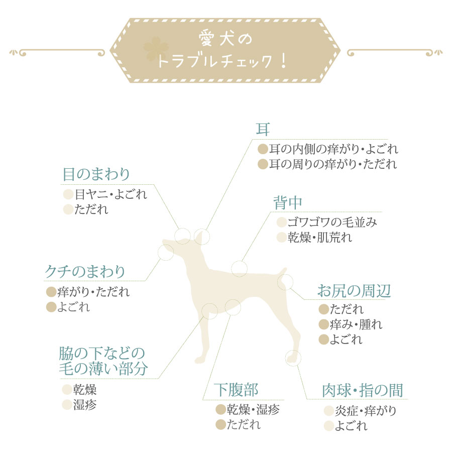 愛犬のトラブルチェック：目のまわり、耳、背中、お尻の周辺、脇の下などの毛の薄い部分、下腹部、肉球・指の間