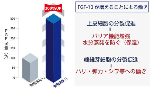 ＦＧＦ-10が増えることによる働き