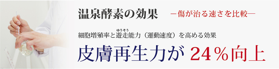 サラヴィオ美容液の効果　皮膚再生力が24％向上