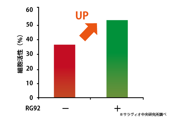 皮膚細胞に塩素とRG92を添加した細胞の方が、およそ16％活性