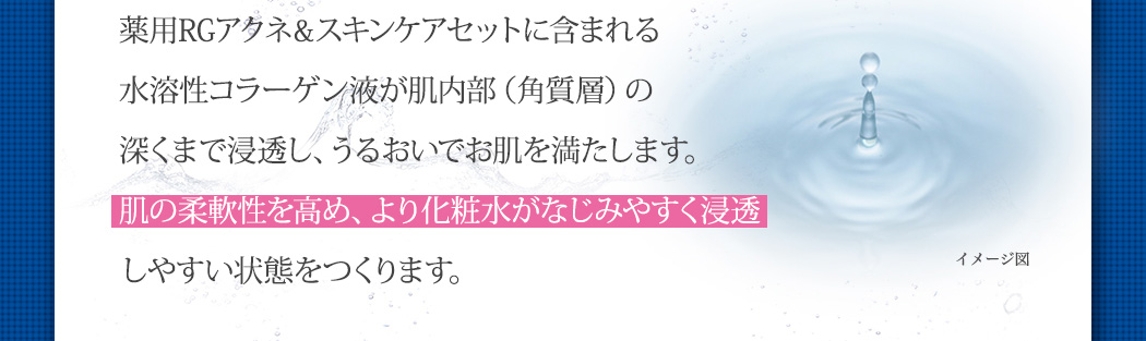 薬用RGアクネ&スキンケアセットに含まれる水溶性コラーゲン液が肌内部（角質層）の深くまで浸透し、うるおいでお肌を満たします。肌の柔軟性を高め、より化粧水がなじみやすく浸透しやすい状態をつくります。