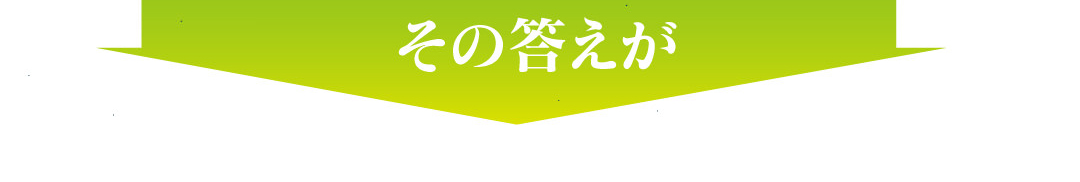 その答えが