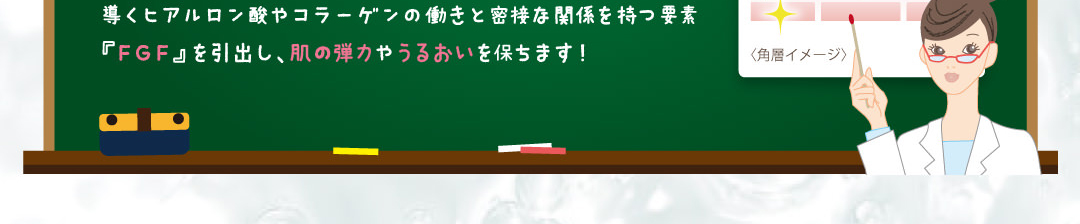 美肌に導くヒアルロン酸やコラーゲンの働きと密接な関係をもつ要素『FGF』を引出し、肌の弾力やうるおいを保ちます。