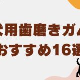 犬 歯磨きガム アイキャッチ