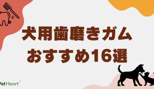 犬用歯磨きガムおすすめ16選！オーガニック・シニア向けや危険性についても解説！