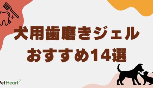 犬用歯磨きジェルおすすめ14選！無添加で安全な歯磨き粉も紹介！