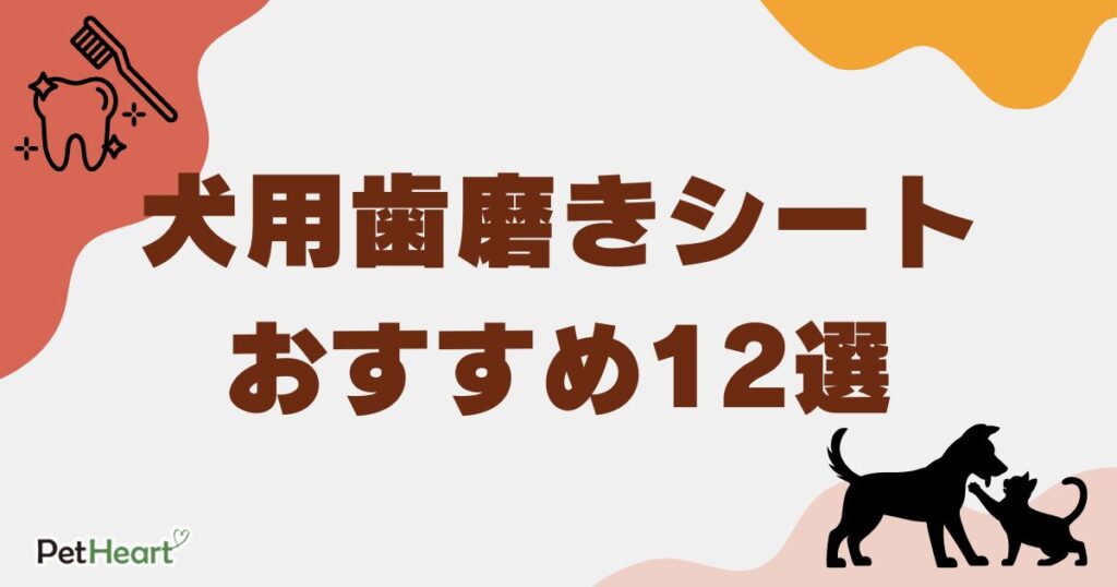 犬 歯磨き シート アイキャッチ