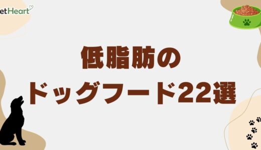 低脂肪ドッグフード22選！市販フードやシニア用・膵炎の犬に向いているかも解説！