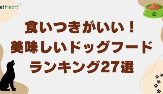 食いつきがいいドッグフードランキング27選！犬がよく食べる美味しいフードまとめ