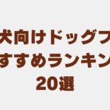 大型 犬 ドッグフード　アイキャッチ