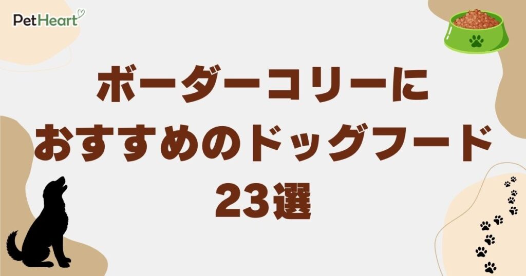 ボーダーコリー ドッグフード　アイキャッチ