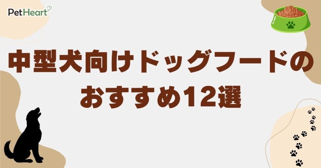 ドッグフード 中型犬 アイキャッチ