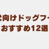 ドッグフード 中型犬 アイキャッチ