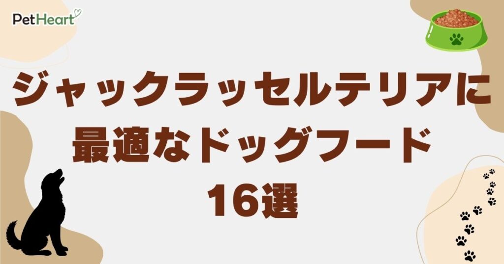 ジャックラッセルテリア ドッグフード アイキャッチ