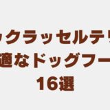 ジャックラッセルテリア ドッグフード アイキャッチ