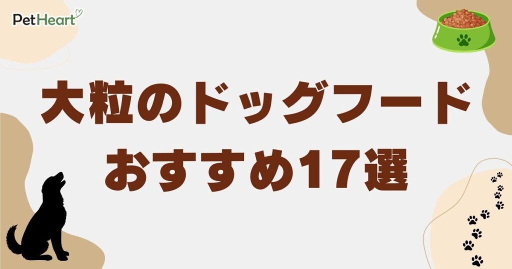 ドッグフード 大粒 アイキャッチ