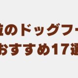 ドッグフード 大粒　アイキャッチ