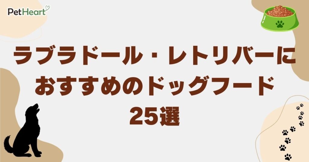 ラブラドール・レトリバー ドッグフード アイキャッチ