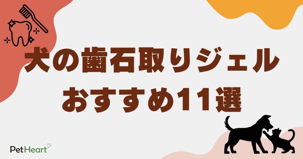 犬 歯石 取り ジェル アイキャッチ
