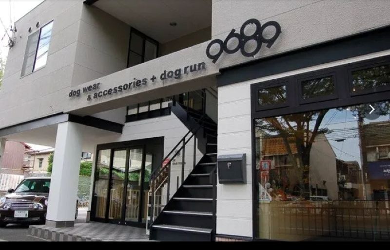 Dog Life Support 9689(クロパグ)