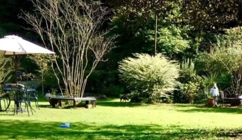 【愛知県犬山市】Dog Garden SPANIEL