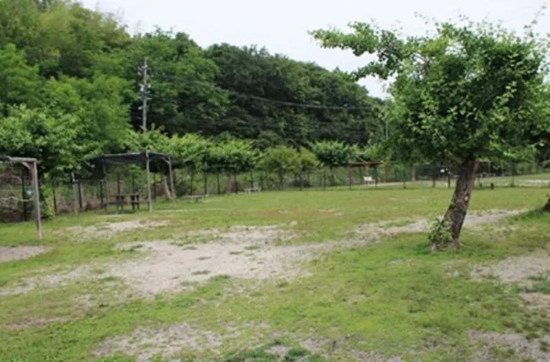 【愛知県長久手市】Dog with(ドッグウィズ)