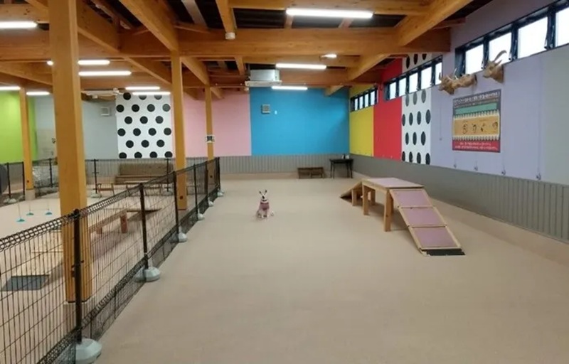 【富山県富山市】DOG AMUSEMENT✦NINE（ドッグアミューズメント・ナイン）