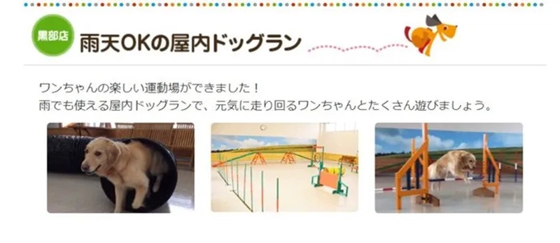 【富山県黒部市】ペットショップマーチ黒部店