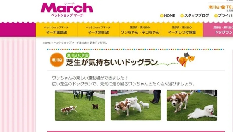 【富山県滑川市】ペットショップマーチ滑川店