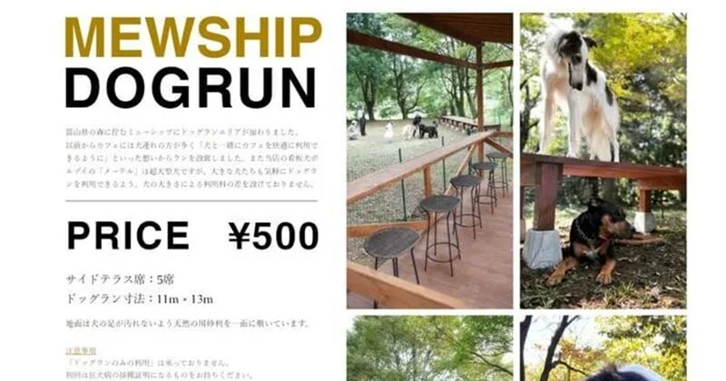【富山県富山市】MEWSHIP（ミューシップ）