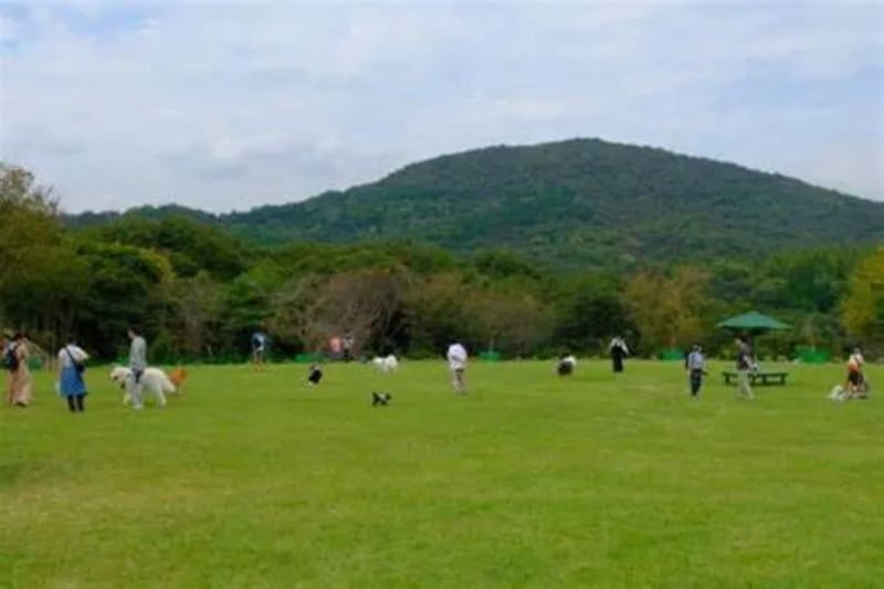 【岡山県瀬戸内市】黒井山ドッグパーク