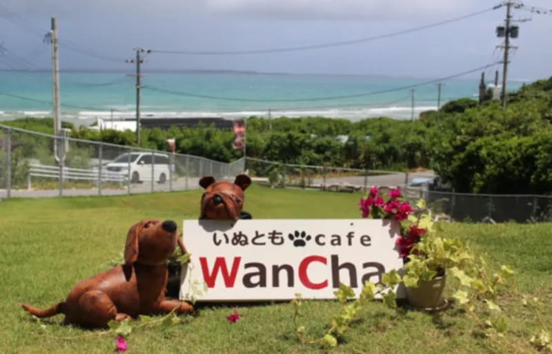 【沖縄県南城市】いぬともcafe Wancha（ワンチャ）