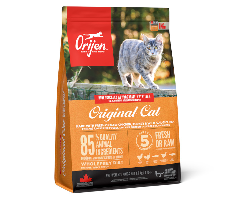 オリジン オリジナルキャット