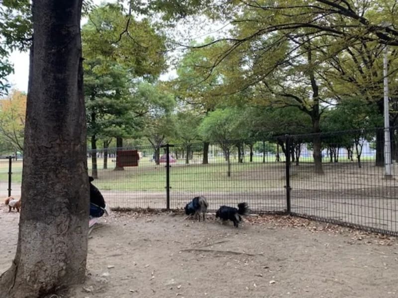 【大阪府豊中市】服部ビオパーク 屋外ドッグラン