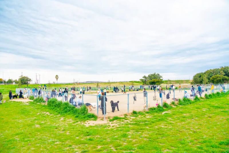 【大阪府堺市】海とのふれあい広場