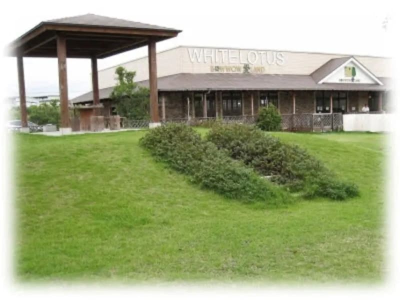 【大阪府泉南市】WHITE LOTUS(ホワイトロータス)