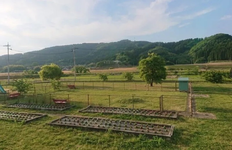 道の駅メルヘンおやべ ドッグラン