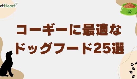コーギーに最適なドッグフード25種を厳選！選択基準と適切な給餌量を解説