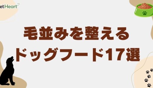 毛並みを整えるドッグフード17選！選び方やサプリも解説