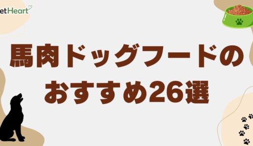 馬肉ドッグフードおすすめ26選！アレルギー対応や国産フードを紹介